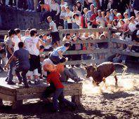 Leitzako San Tiburtzio pestetako txupinazoa igandean botako da