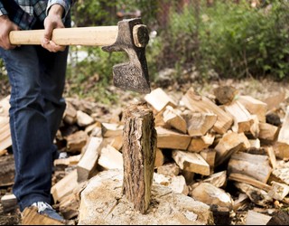 Leitzan egur ustiaketaren egoera zein den ezagutzeko galdetegi bat zabaldu dute