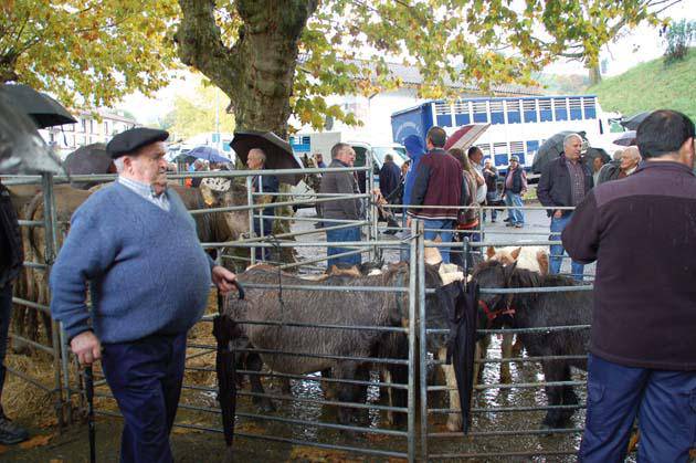 Euriak ez zuen Doneztebeko feria eguna zapuztu 