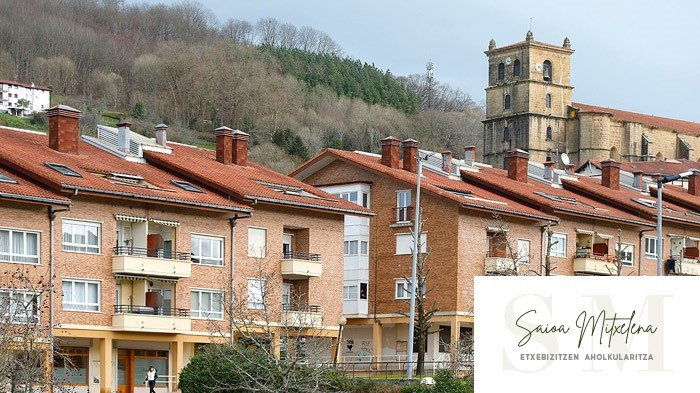 Saioa Mitxelena Inmobiliaria: Oiartzunen etxebizitza ederra salgai