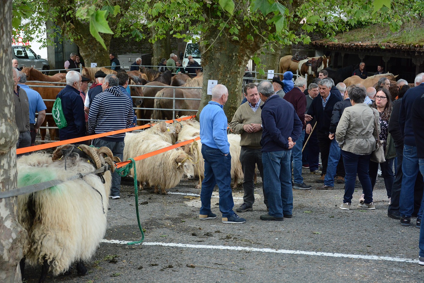 Ortziralean eginen dituzte Donezteben udaberriko feria eta XVI. Ahari Lehiaketa