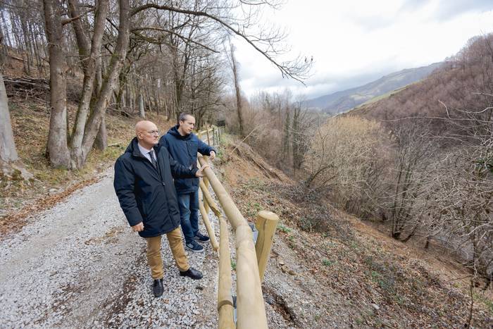 Nafarroako Gobernuak bere gain hartuko ditu Leitza eta autobidearen artean erortzea izan zen tokiko mendi-mazela egonkortzeko lanak