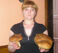 Hasi dira onddoak