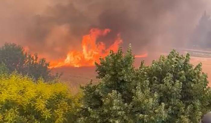 Mendiko suteen kontrako udal ekintza plana aurkeztuko dute bihar Arantzan