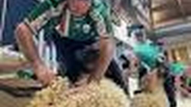 Euskal Herriko ardi moztaileen lehen txapelketa arrakasta haundiz bururatu da