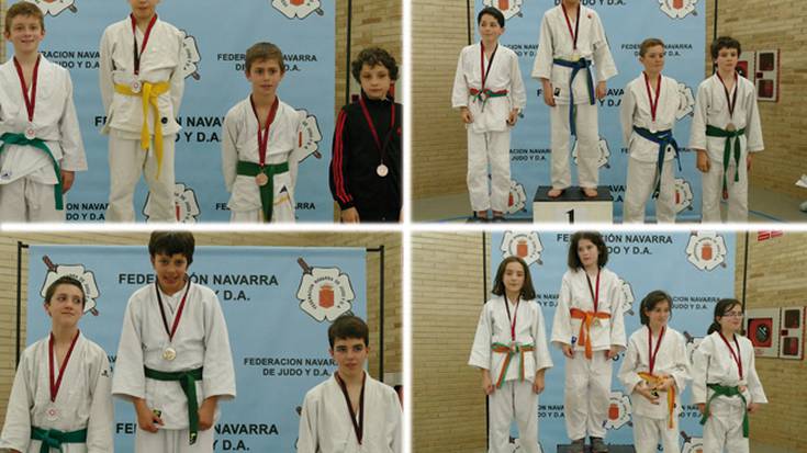Lau domina lortu dituzte Errekako kirolariek alebin mailako Nafarroako Judo Txapelketan
