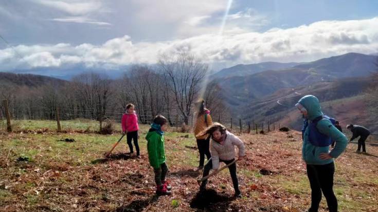 Otsailaren 22an eta 26an Arbolaren Eguna Lesakan