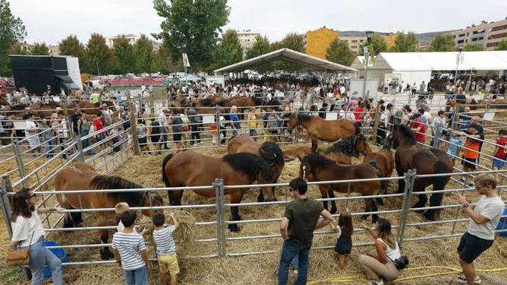 Irailaren 4tik 6ra Autentika feria Iruñean