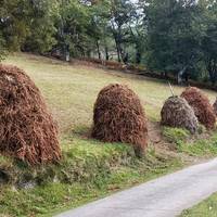 Metei buruzko 'Metaka auzolanez' jardunaldia