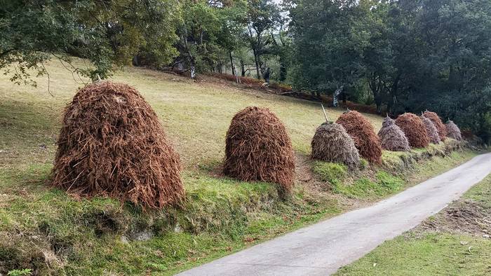 'Metaka Auzolanez' jardunaldia eginen dute ortziralean eta larunbatean Ibardinen