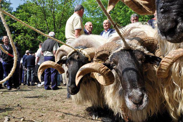 Udaberriko feria apirilaren 13an eginen da Elizondon