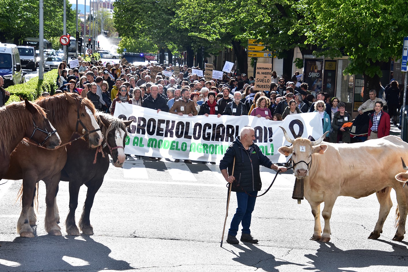 Ehunka lagun bildu dira Iruñeko karriketan Nafarroarentzat elikadura subiranotasuna eraiki dadin eskatzeko