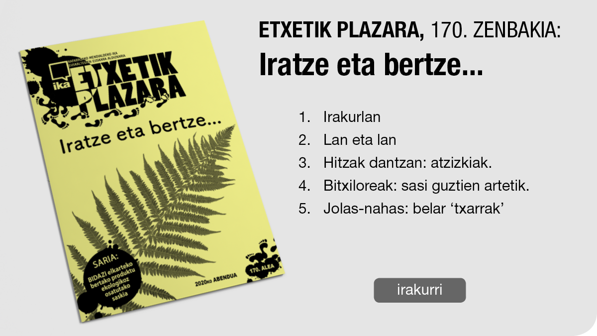 170. Etxetik Plazara: Iratze eta bertze