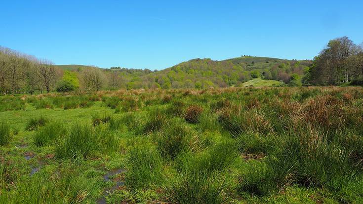 Txilardi hezeak berreskuratzeko intentzioarekin igandean Belaten egitekoa zen boluntarioen saioa gibelatu dute