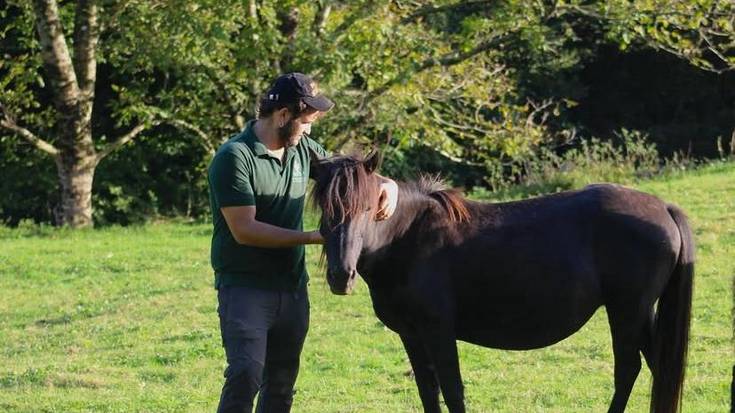 Pottoka eta betizu hazkuntzari emana