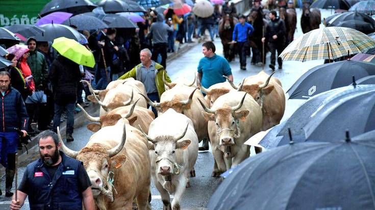 Ferietan aziendak debekatzearen harira, «erabaki inkoherenteak» hartu izana leporatu dio Elizondoko Herriak Nafarroako Gobernuari