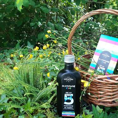 Elikagai konplementuak