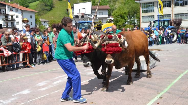 Traktorea nagusitu zaio idi-pareari Berako II. Azienda Feriako apustuan