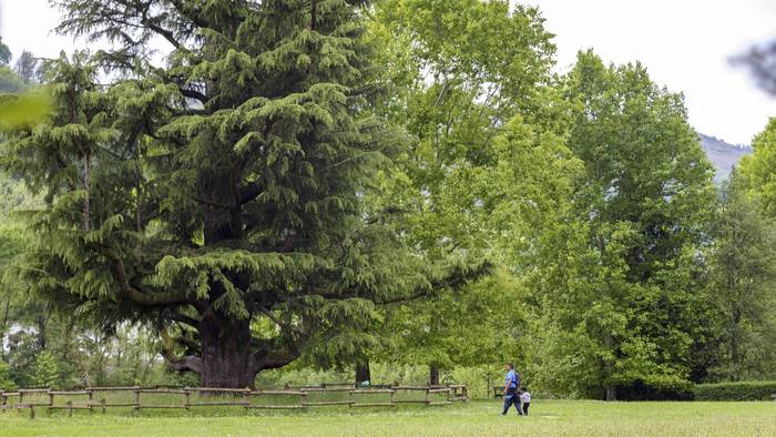 Bertizko Jaurerriak Ingurumenaren Munduko Eguna ospatuko du gaur ate irekien jardunaldiarekin