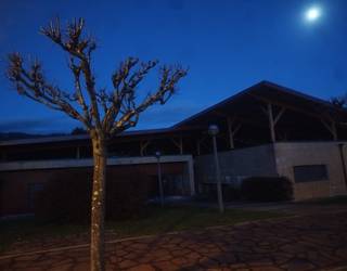 «Behar baino lehenago egiten diren zuhaitz kimaketen» harira kezka agertu du Baztango Talde Ekosozialak