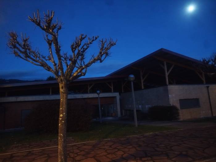 «Behar baino lehenago egiten diren zuhaitz kimaketen» harira kezka agertu du Baztango Talde Ekosozialak