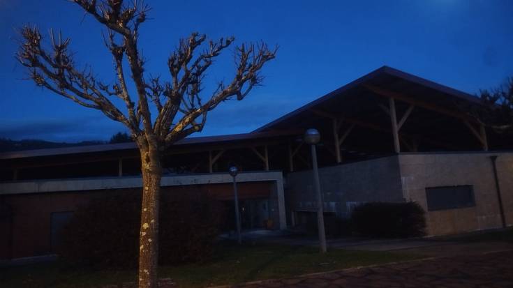 «Behar baino lehenago egiten diren zuhaitz kimaketen» harira kezka agertu du Baztango Talde Ekosozialak