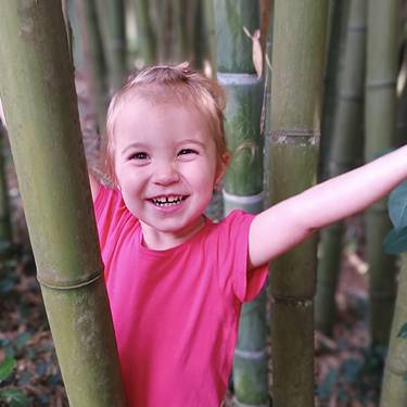 Luaia Zubigarai Bertiz