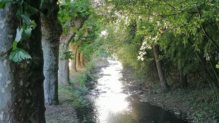 Biurrana erreka garbitu dute Kantauriko Konfederazio Hidrografikoak eta Lesakako udalak