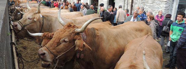 141 azienda plazaratu ziren Lesakako feria egun jendetsuan