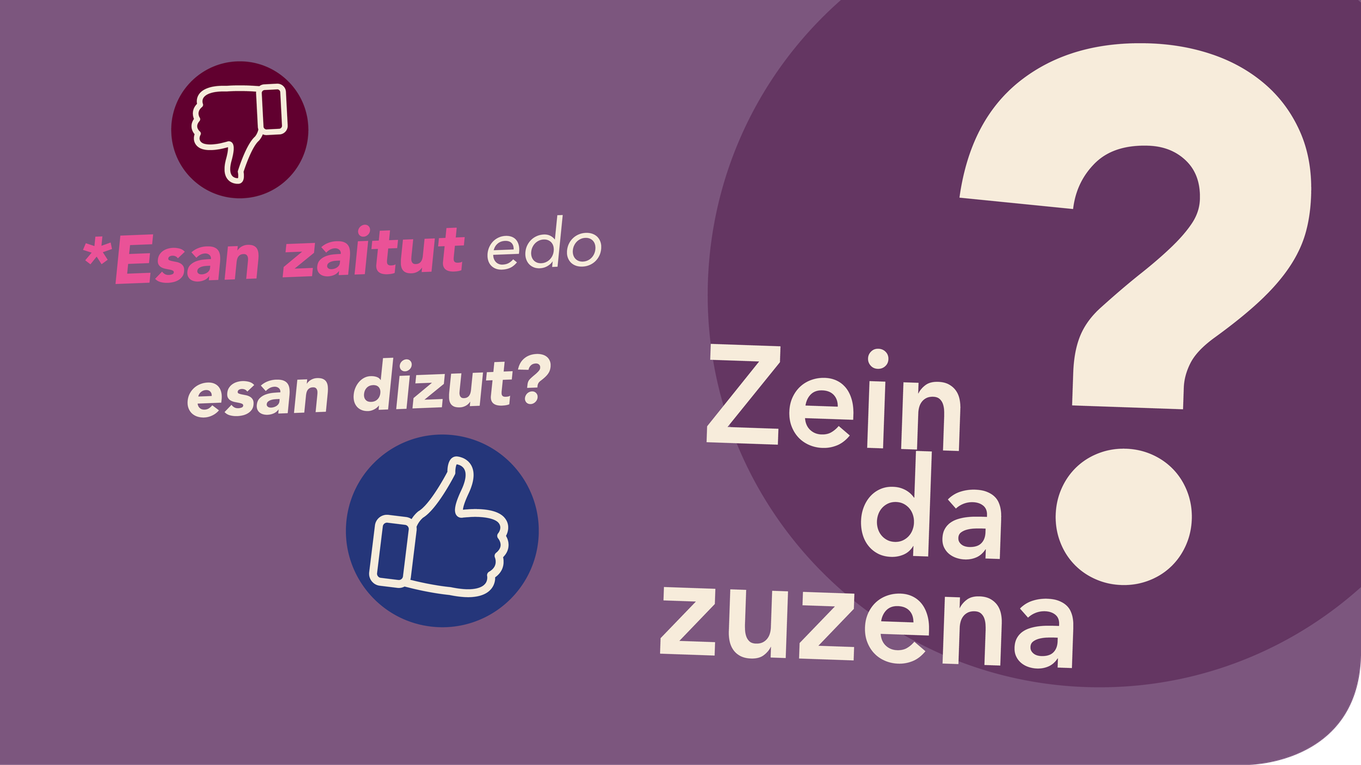 *Esan zaitut edo esan dizut?