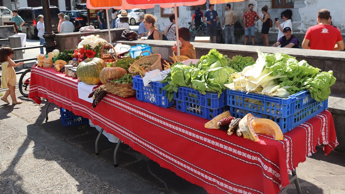 Landa Nafarroa Lotu proiektuaren barrenean, sare logistikoa diseinatzeko nekazariek eta eraldatzaileek betetzeko galdetegia prestatu dute