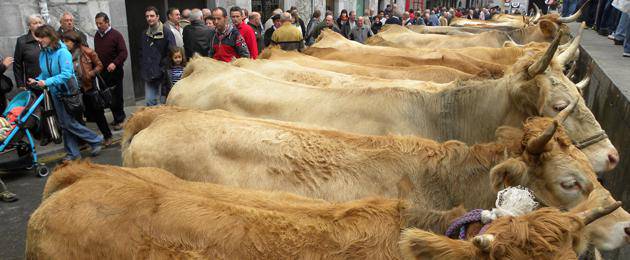 154 azienda plazaratu ziren Lesakako feria egunean