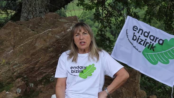[BIDEOA] Domiko proiektu eolikoaren arriskuez ohartarazi du Endara Bizirik taldeak