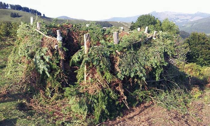 Larunbatean izango da Aresoko uso postuen bigarren enkantea