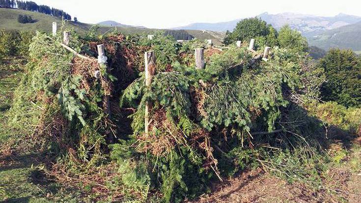 Uso postuen enkantea larunbatean Areson