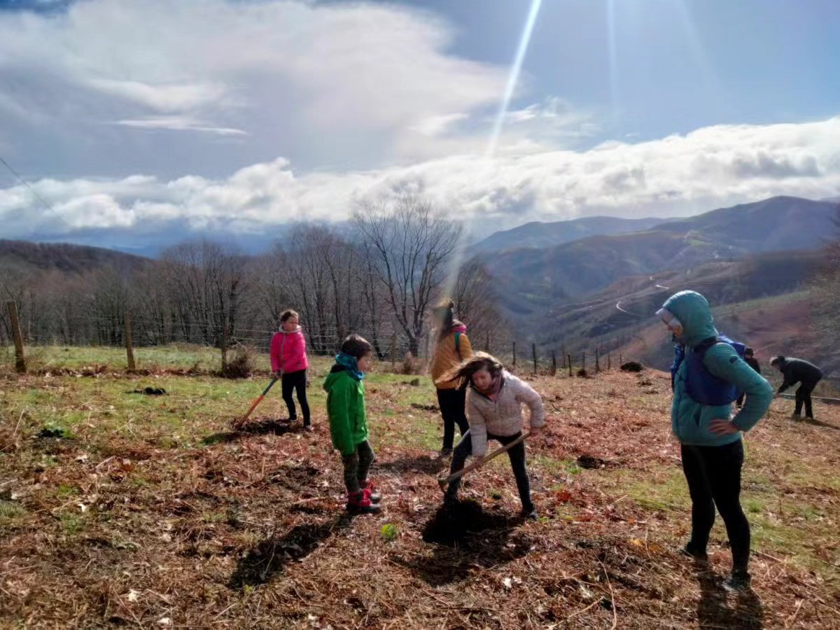 Arbolaren Eguna ospatuko dute Lesakan martxoaren 7an eta 12an