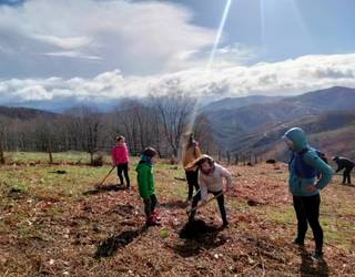 Arbolaren Eguna ospatuko dute Lesakan martxoaren 7an eta 12an