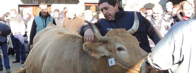 148 azienda plazaratu ziren Lesakako feria egun eguzkitsu eta hotzean