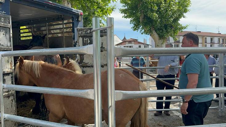 Iruñeko zaldi feria solasbide Josu Sarobe albaitariarekin