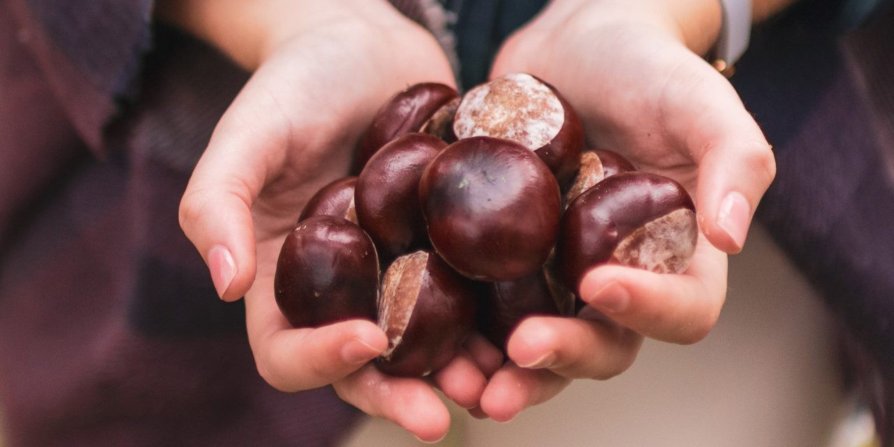 Gaztaina erre jatea eginen dute Lesakako jubilatuek abenduaren 6an