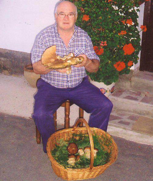 Onddoa gosaltzeko