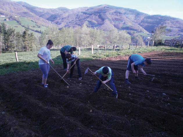 Eskolako baratzeak itxura ederra du