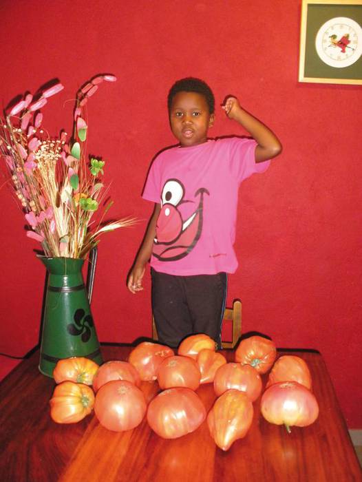 Tomate uzta ederra aurtengoa 