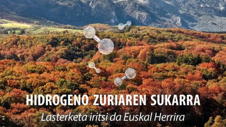 Argia aldizkaria: 2982. alea