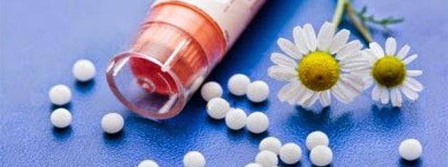Homeopatia botikina osatzeko solasaldia antolatu du Besarkada elkarteak Lesakan
