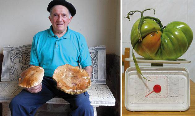 Onddo eta tomate ederrak bildu ditu Laxaro Eskuderok 