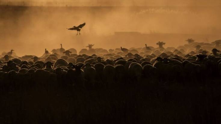 CPAEN- NNPEK-k udaberrirako hainbat jarduera antolatu ditu