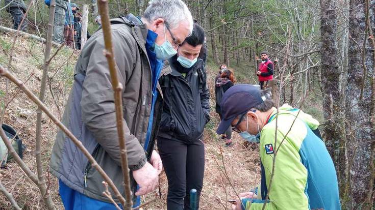28 lagunek parte hartu dute Arantzan egin duten bertako gaztaina barietateak txertatzeko ikastaroan
