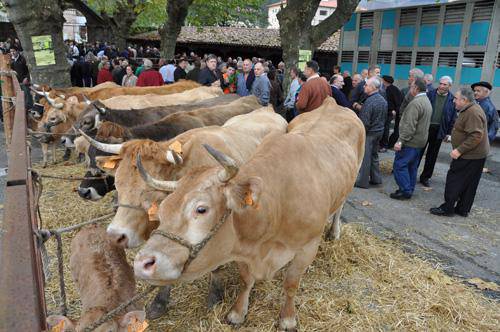 Doneztebeko Udazkeneko Feria ospatuko da azaroaren 19an