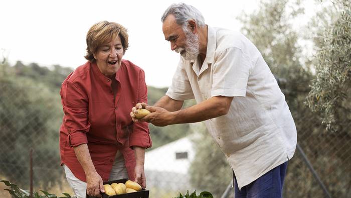 Belaunaldi erreleboari buruzko jardunaldia eginen dute irailaren 25ean Doneztebeko Juansenean